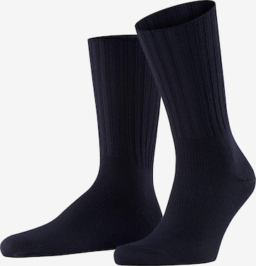 FALKE Socks 'Nelson' in Blue: front