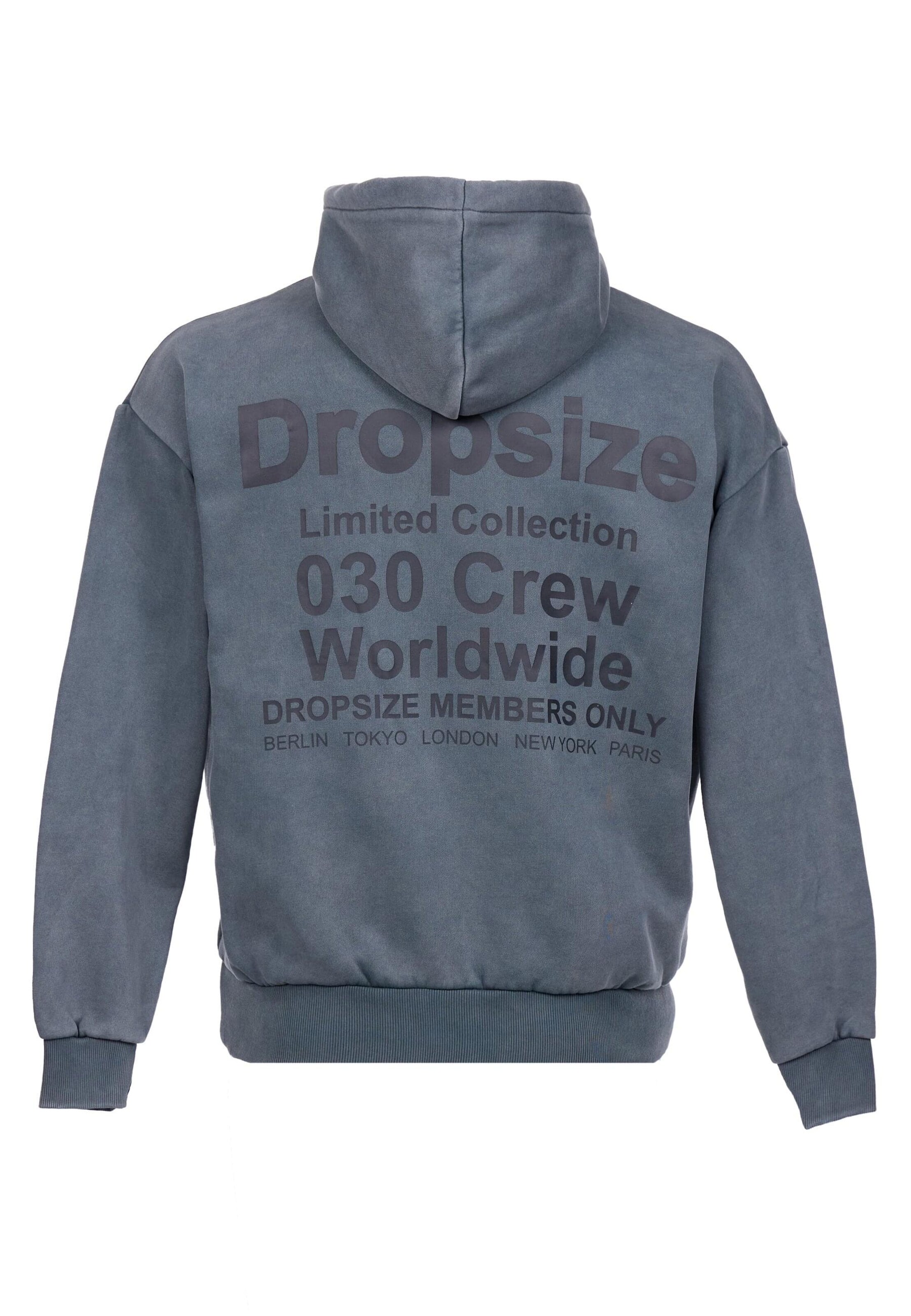 Dropsize Sweatshirt i grå