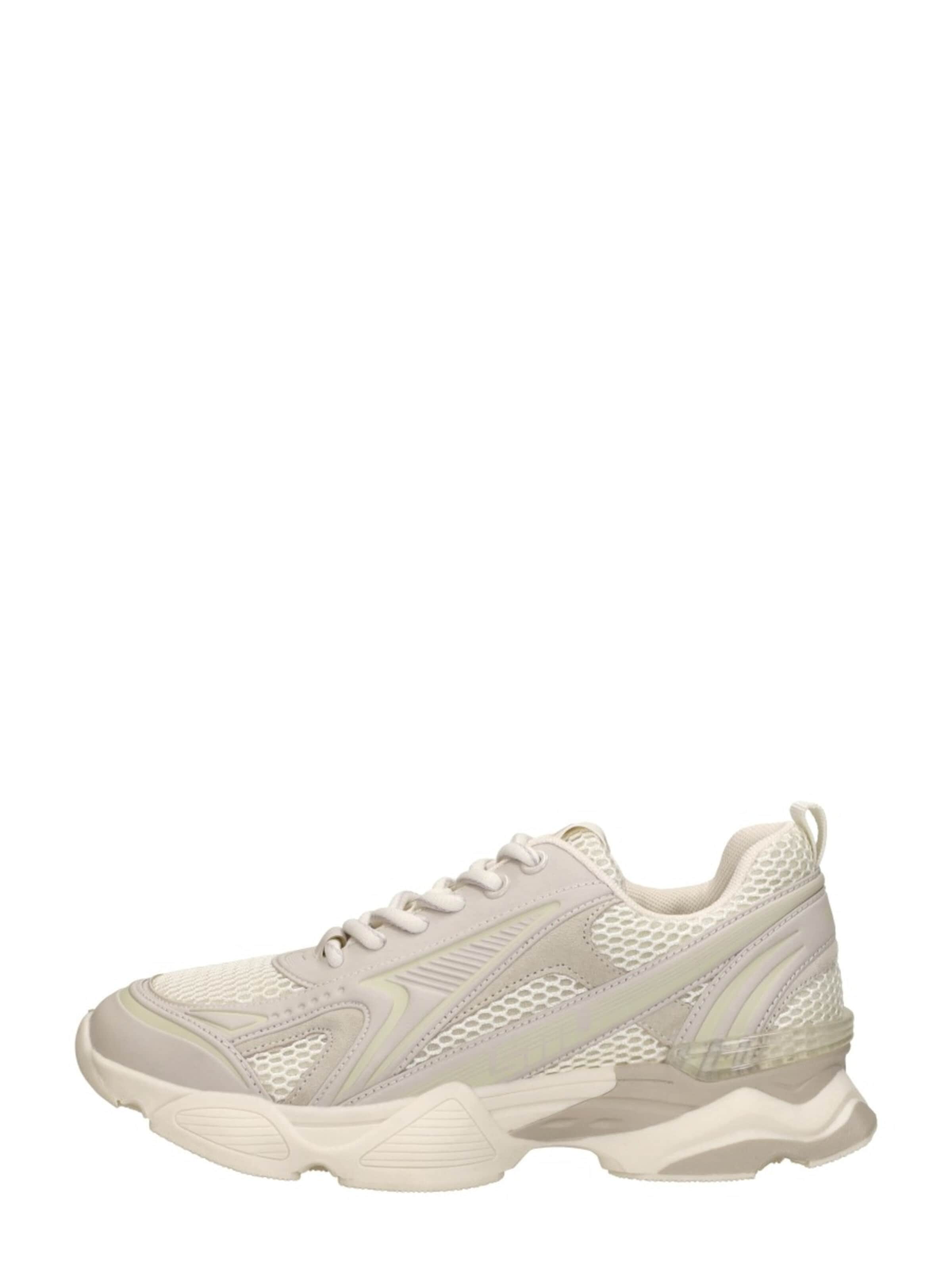 STEVE MADDEN Sneaker low 'Speedster-E'‌‌ in Beige: Vorderseite