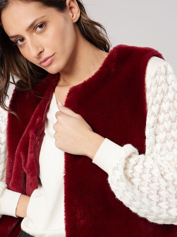 Veste mi-saison Deeluxe en rouge