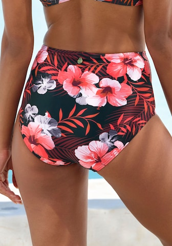LASCANA Dół bikini w kolorze zielony