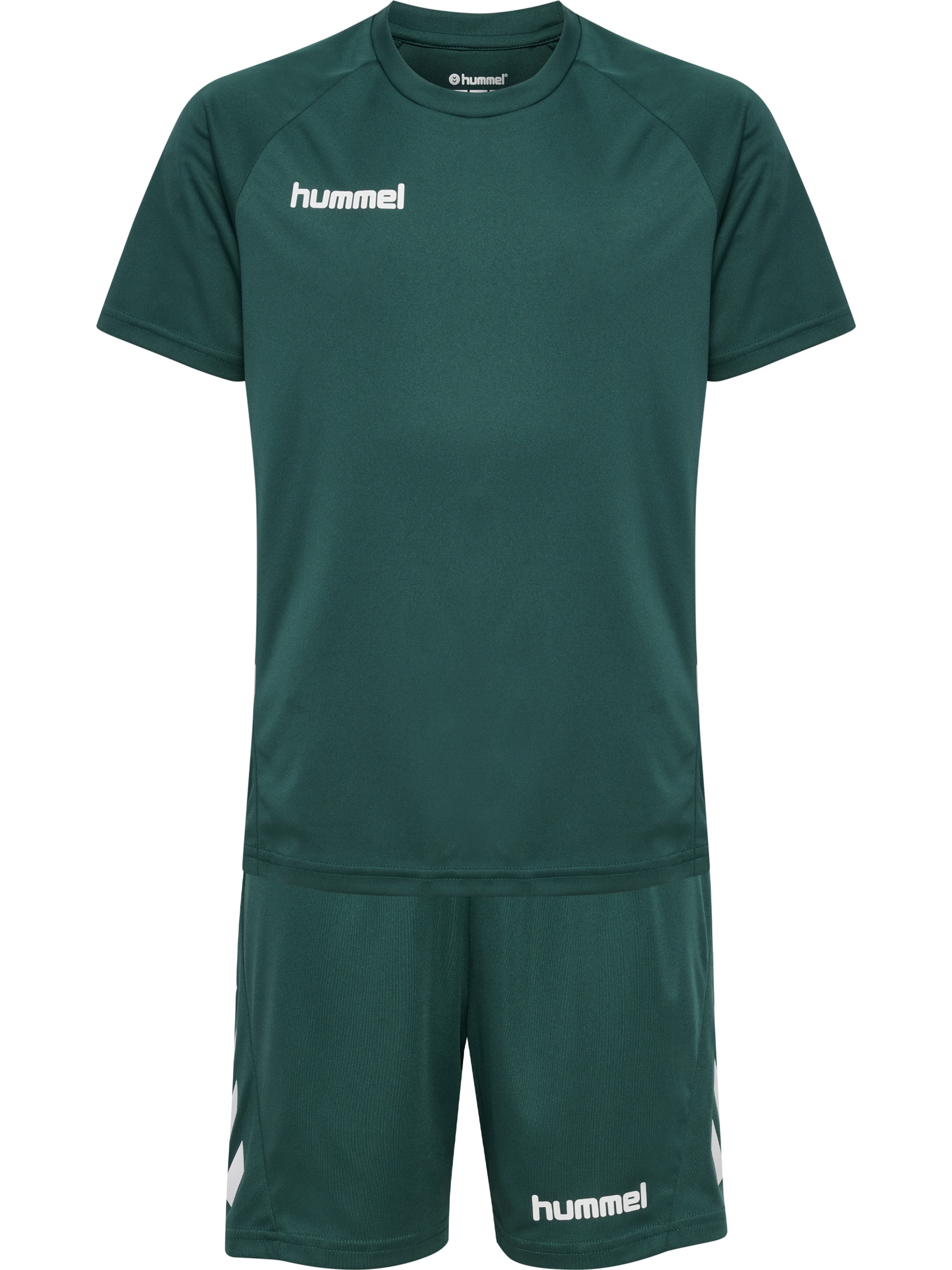 Hummel Trainingspak 'Promo' in Groen: voorkant