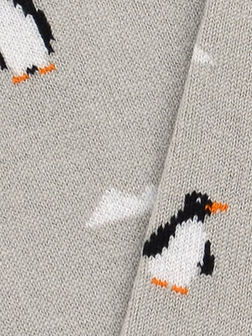 Chaussettes 'AUSTRAL EDITION' The Arctic Bay en mélange de couleurs