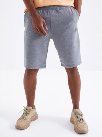 Regular Pantalon Tommy Life en gris : devant