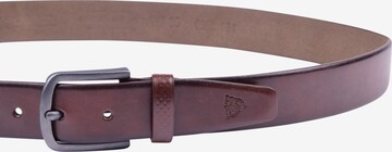 Ceinture ROY ROBSON en marron : devant