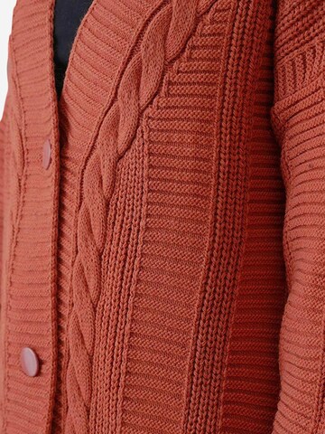 Bigdart Knit cardigan in Brown