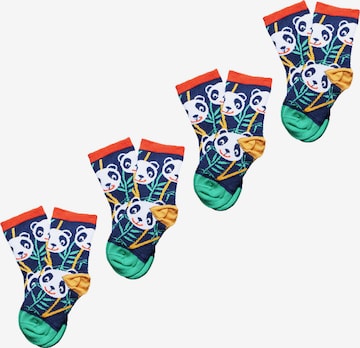 UNABUX Socks ' Prints ' in Mixed colours: front