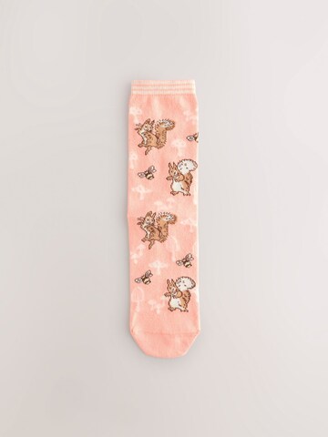 Next Socks in Beige