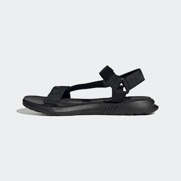 ADIDAS TERREX Sandals in Black