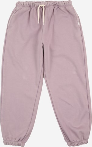 GAP Hose in Lila: Vorderseite