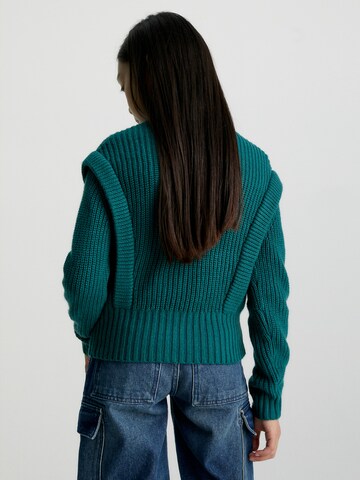 Calvin Klein Jeans Pullover in Blau