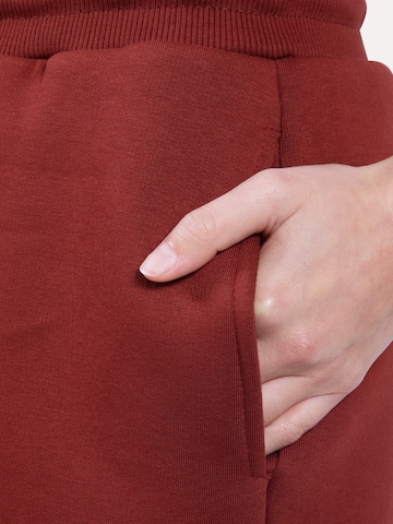 Smilodox Regular Broek in Bruin