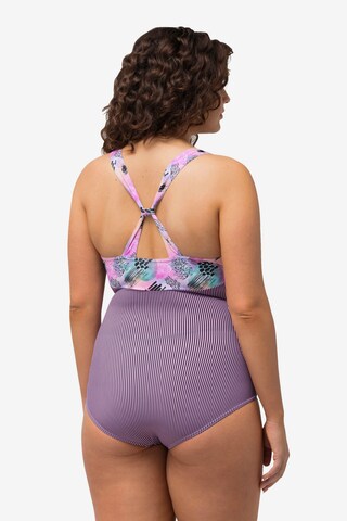 Ulla Popken Triangle Swimsuit in Purple