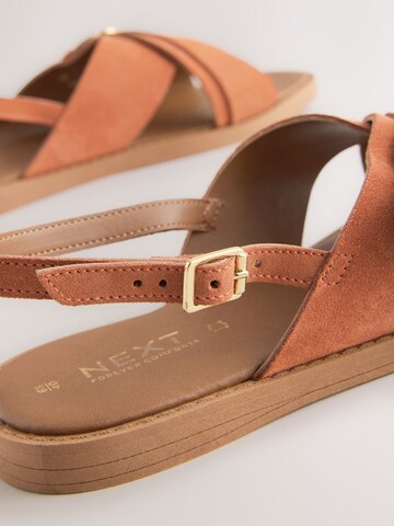 Next Sandals in Brown