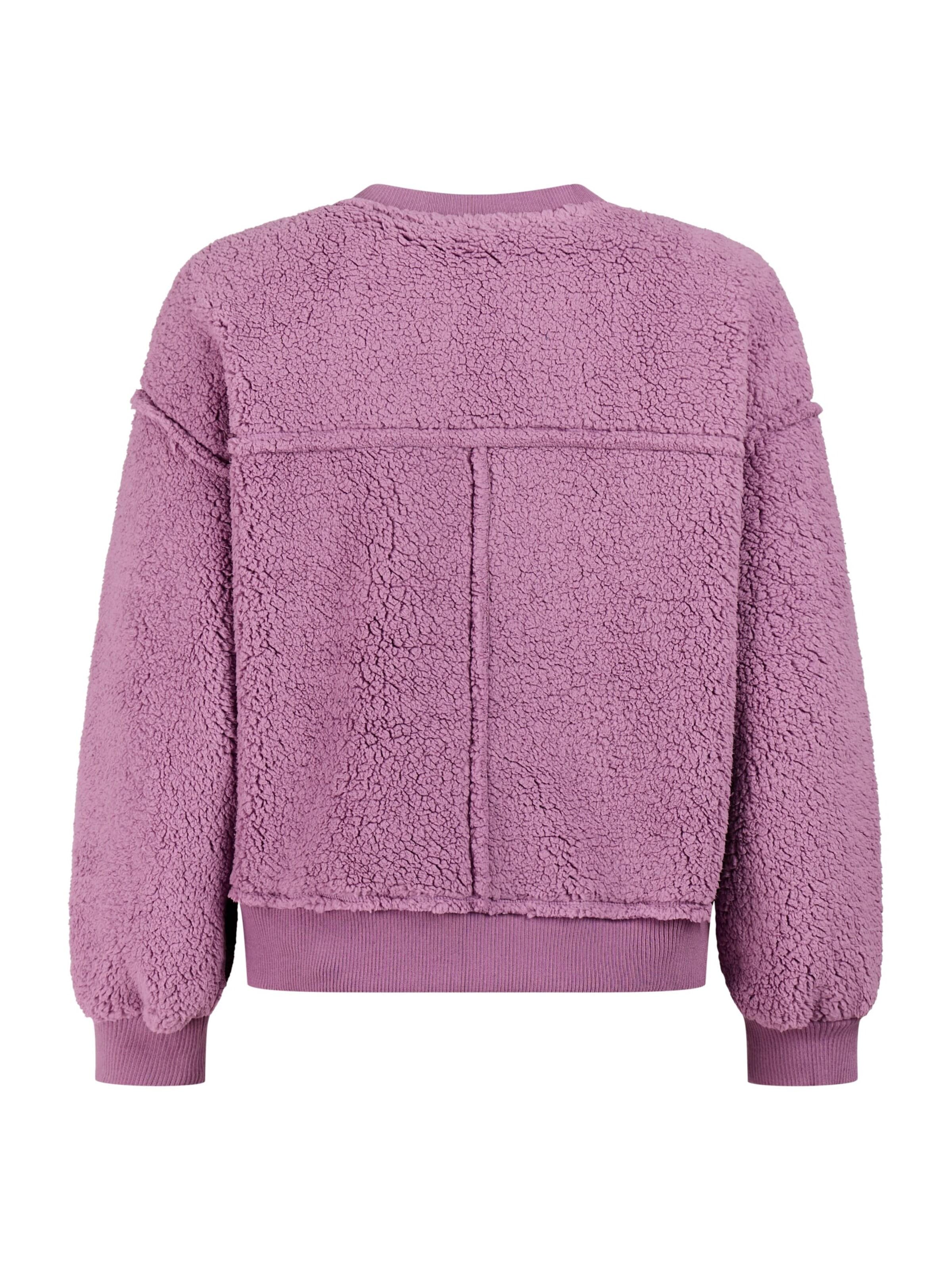 PROTEST Pullover 'PRTAidan'‌‌‌‌‌‌‌‌ in Lila