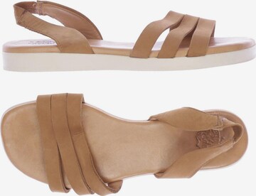 Apple of Eden Sandals & High-Heeled Sandals in 39 in Brown: front