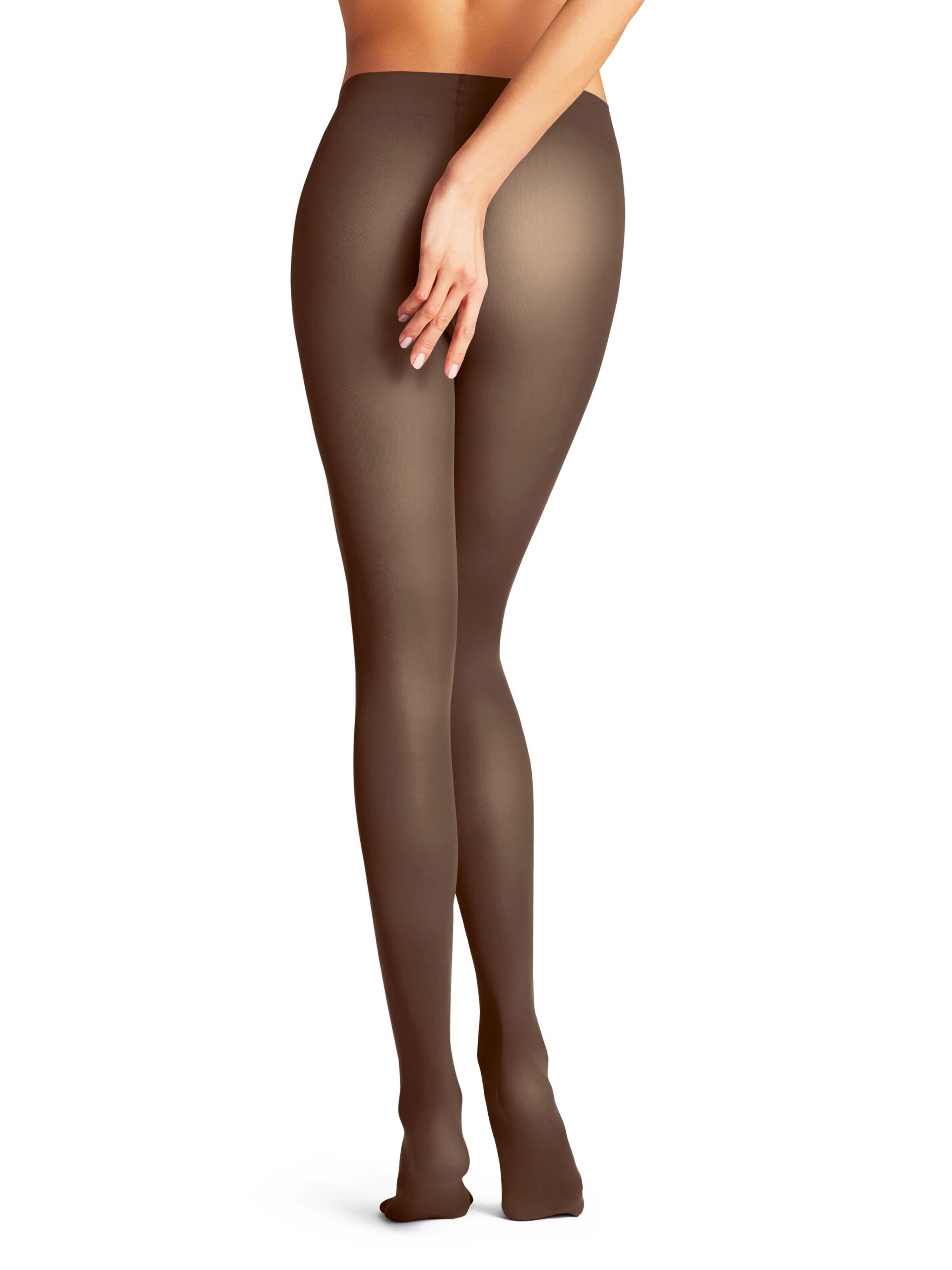 FALKE Strumpfhose 'Pure Matt'‌‌‌‌‌‌ in Braun