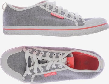 ADIDAS ORIGINALS Sneakers & Trainers in 38 in Grey: front