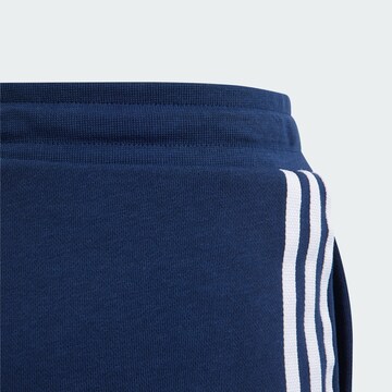 ADIDAS ORIGINALS Regular Broek 'Adicolor' in Blauw