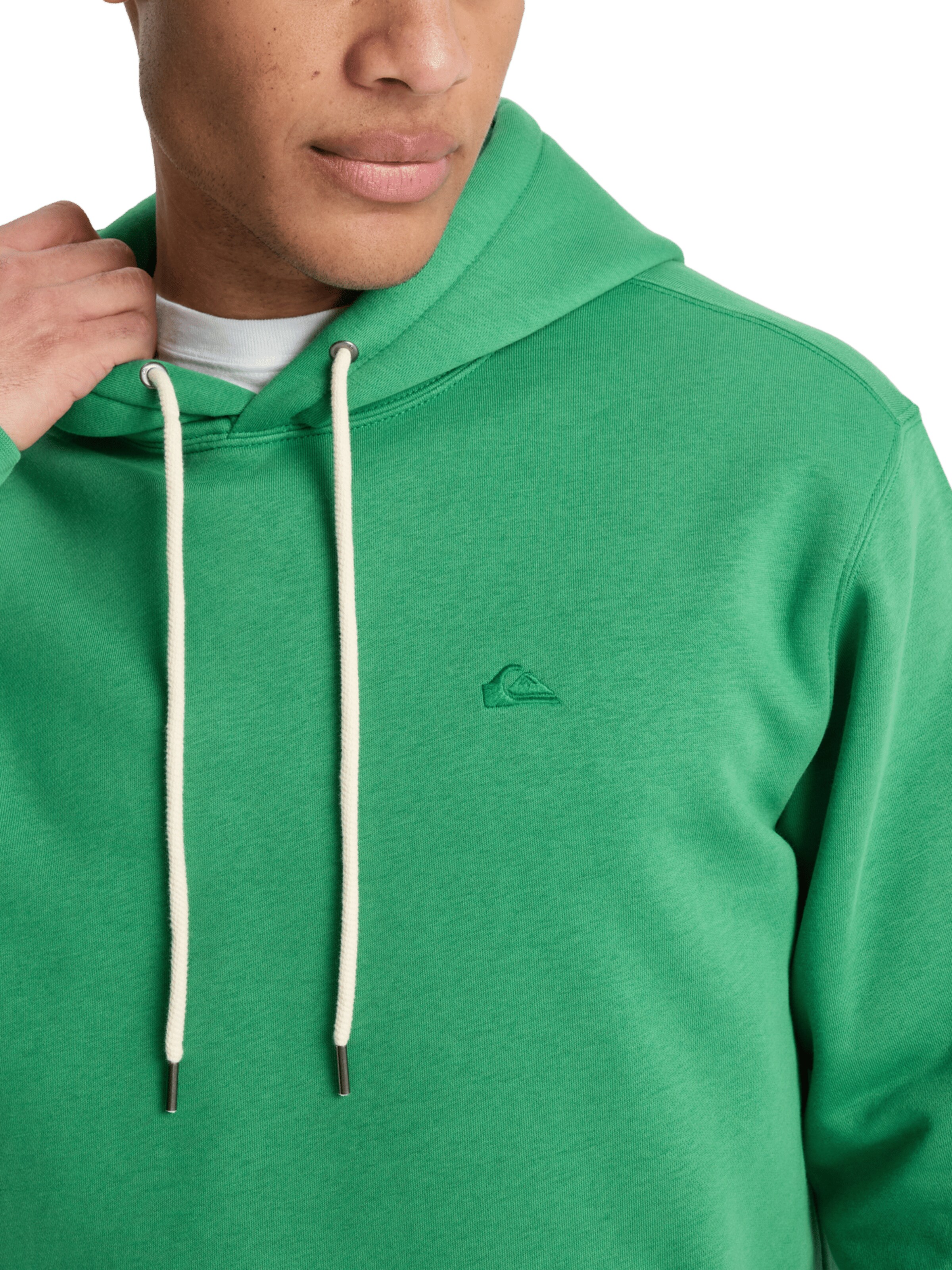 QUIKSILVER Sweatshirt 'Salt Water' in Green