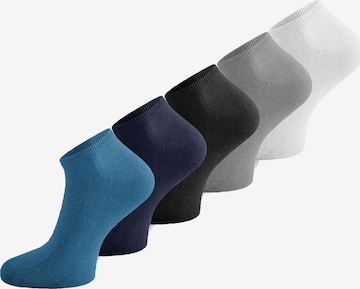 Chaussettes normani en bleu : devant