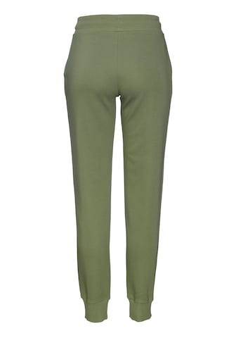 BUFFALO Tapered Pants in Green