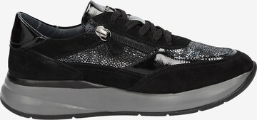 SIOUX Sneakers 'Segolia-708' in Black