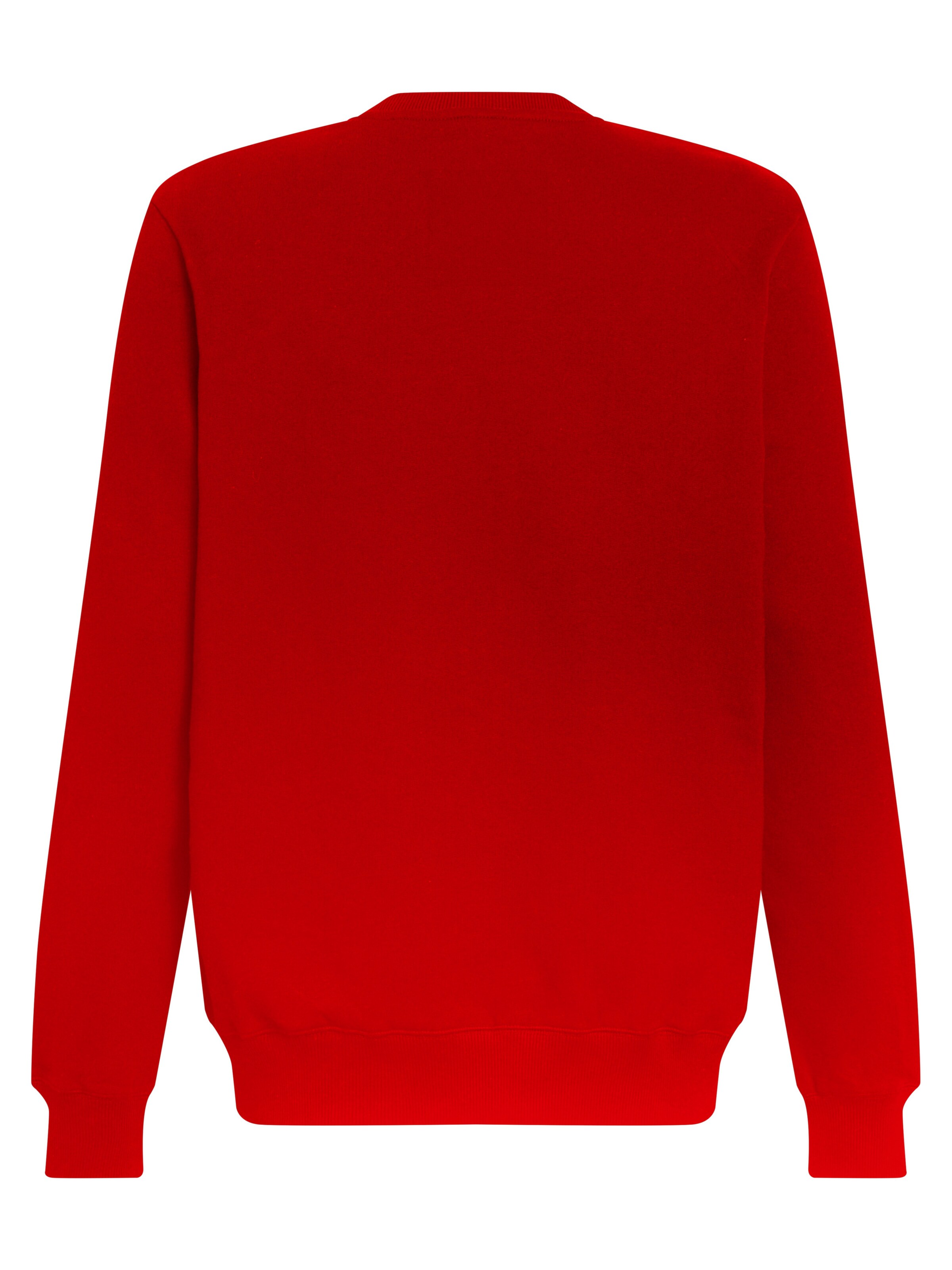 FC BAYERN MÜNCHEN Sweatshirt 'Essentials' in Rot