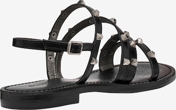 GEOX - Sandalias 'Ledersandalen von Maddalusia' en negro: frente