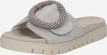Zoccoletto di GABOR in grigio: frontale