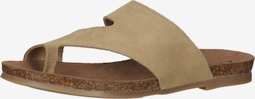 COSMOS COMFORT T-Bar Sandals in Beige: front