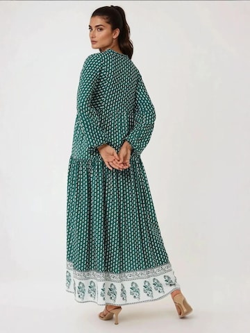 Hiccup Kleid in Grün