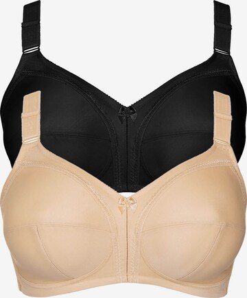 Lisca BH 'Mirelas' in Mischfarben: Vorderseite