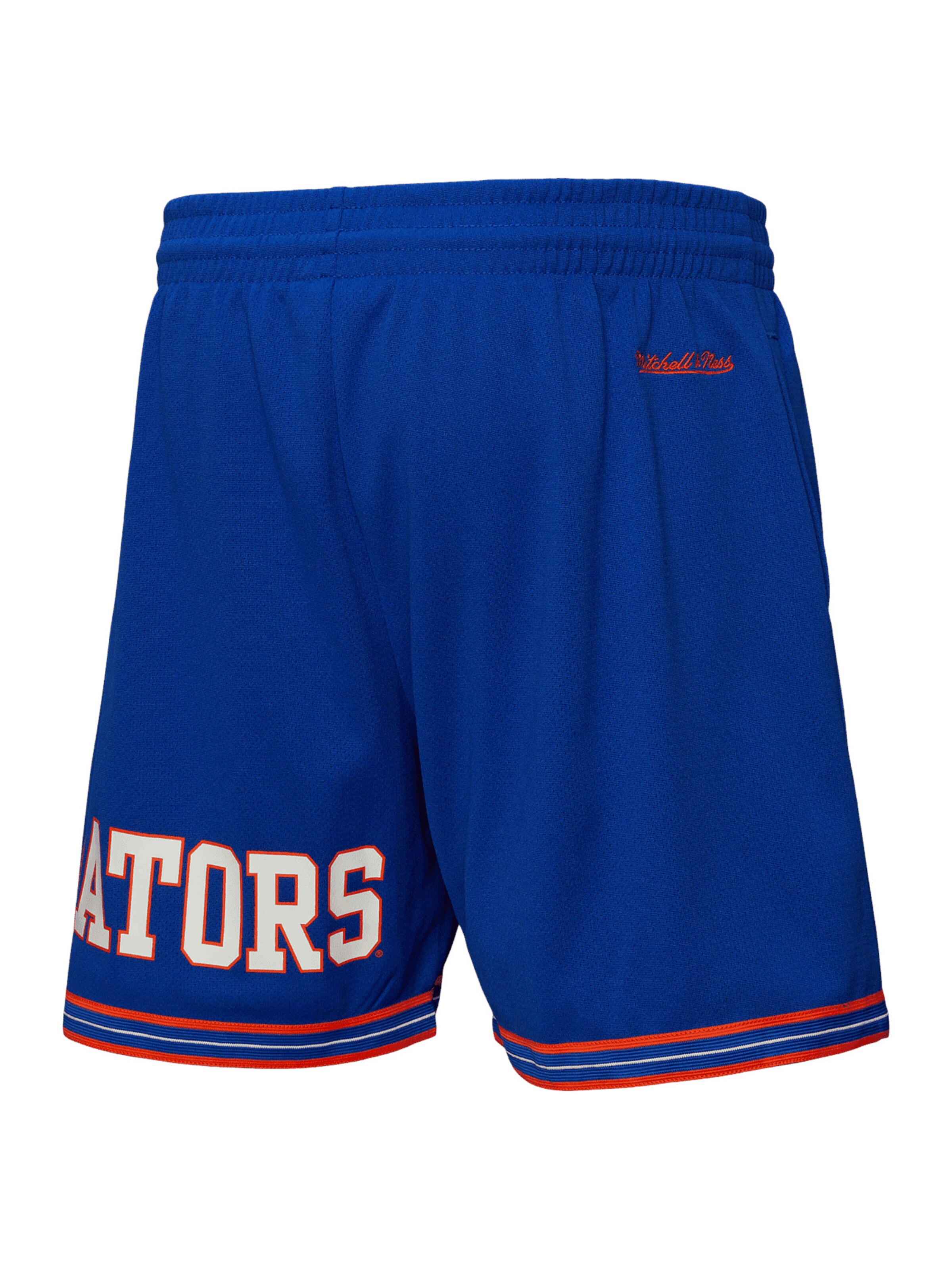 Regular Pantalon de sport Mitchell & Ness en bleu