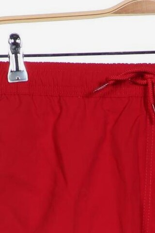 TOMMY HILFIGER Shorts in 31-32 in Red