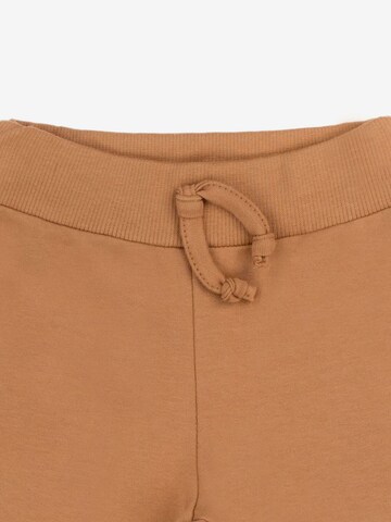 Bamar Nicol Regular Pants in Brown