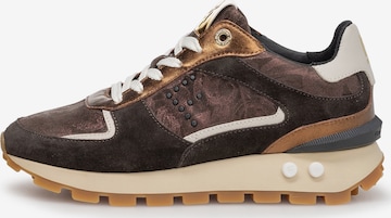 Floris van Bommel Sneakers in Brown: front