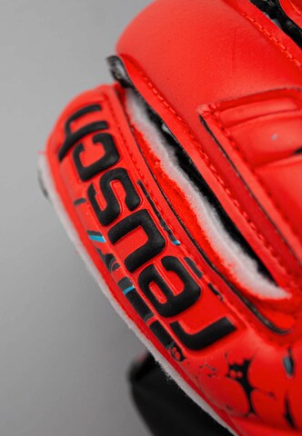 REUSCH Athletic Gloves 'Attrakt Gold X Evolution' in Red