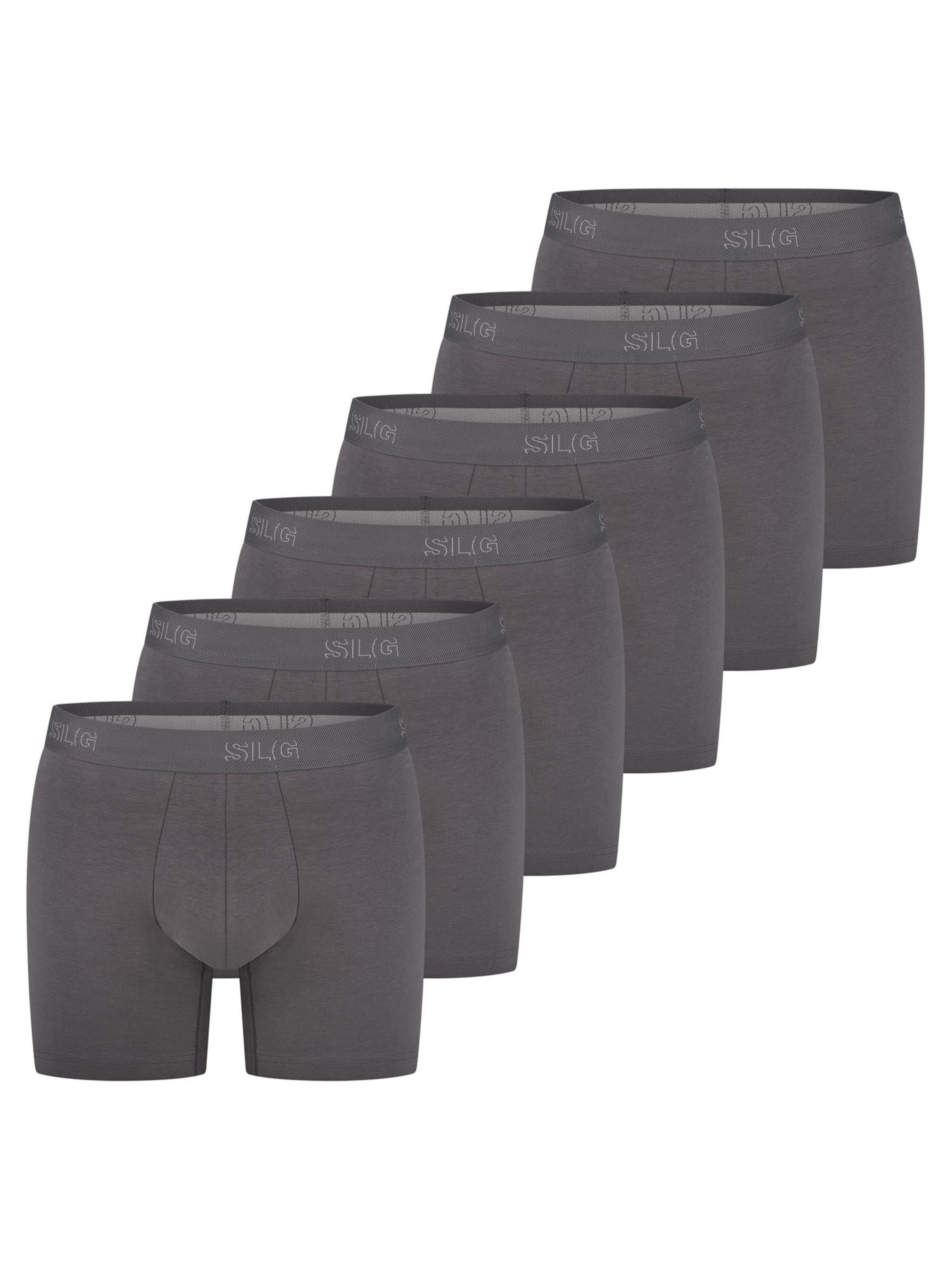 SLOGGI Boxer shorts 'SLG Base' in Grey: front