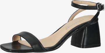 PETER KAISER Strap Sandals in Black: front