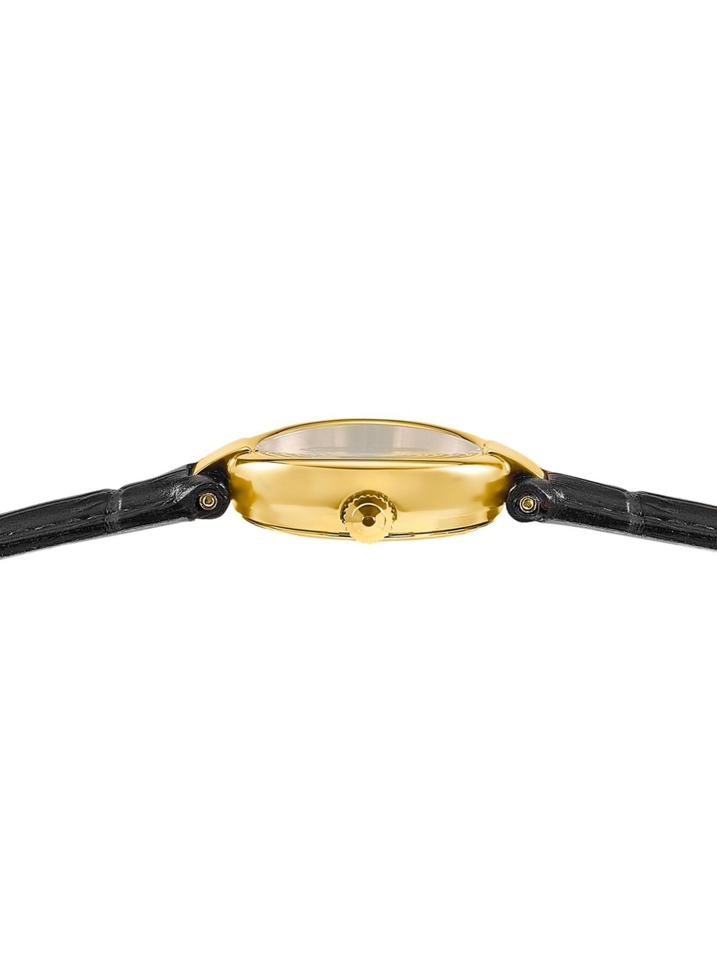 FESTINA Analoog horloge 'Date watch Mademoiselle' in Zwart