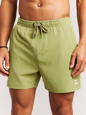 PROTEST Board Shorts 'PRTIgapo' in Green