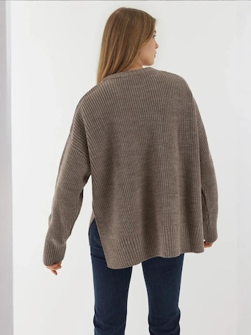 Hiccup Pullover in Braun