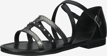 GEOX Sandalen met riem in Zwart: voorkant