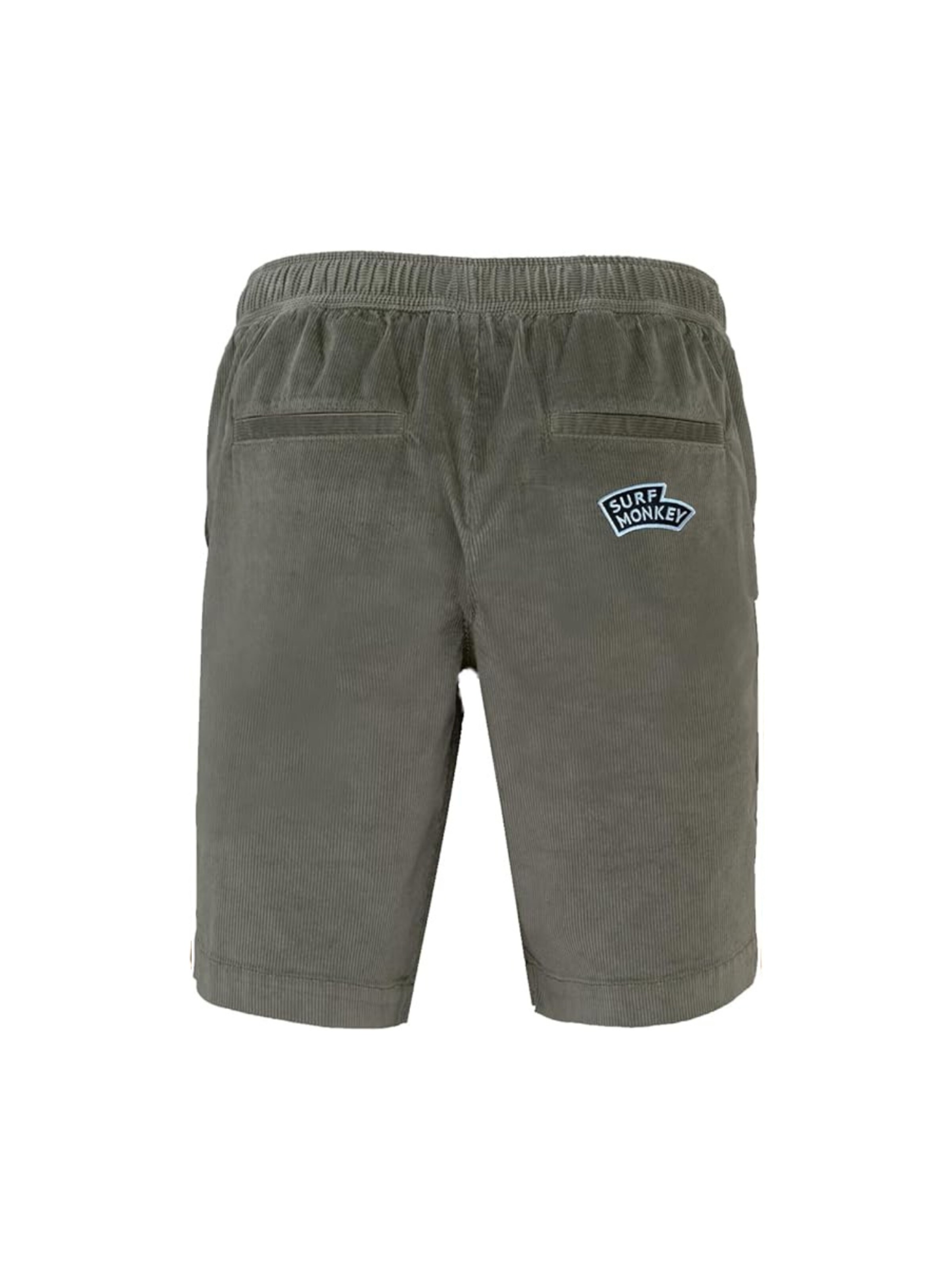 Surf Monkey Regular Hose‌‌‌‌‌‌‌‌‌ in Grün