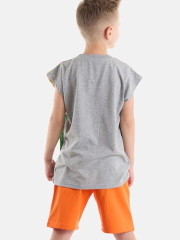 Denokids Tracksuit 'T-Rex Flame' in Grey