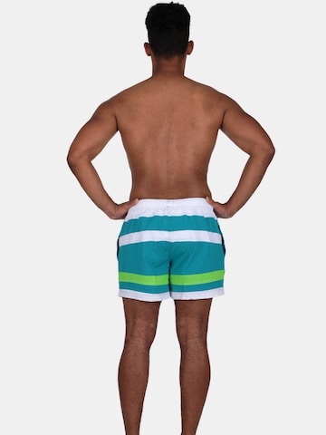Shorts de bain wavebreaker en vert