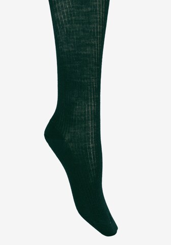 ROGO Tights in Green