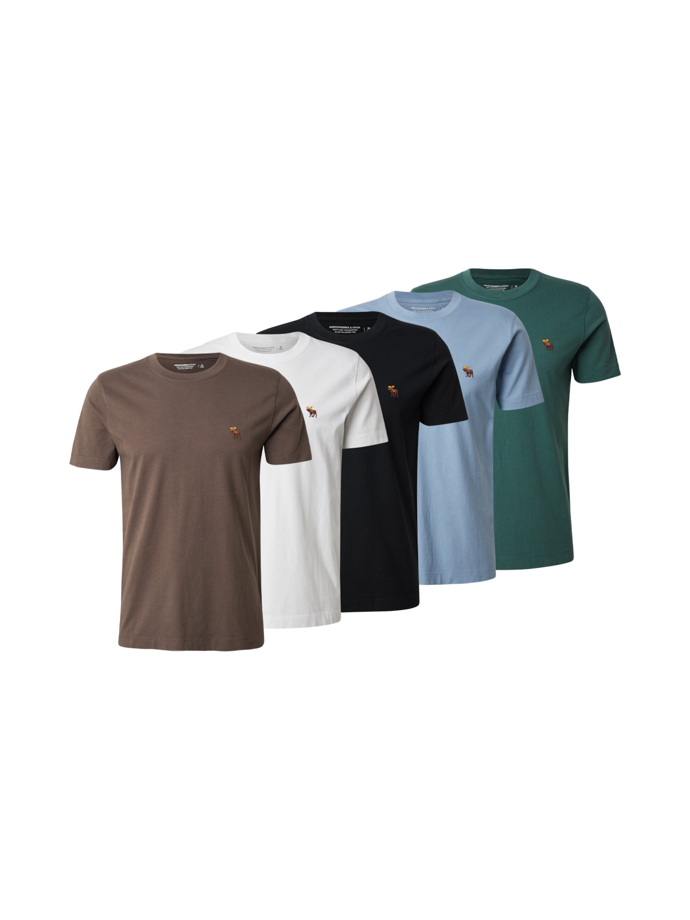 Abercrombie & Fitch Shirt in Blue: front