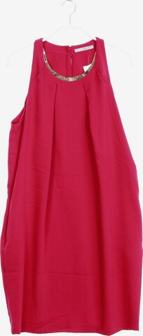 Annie P Dress in XL in Pink: front